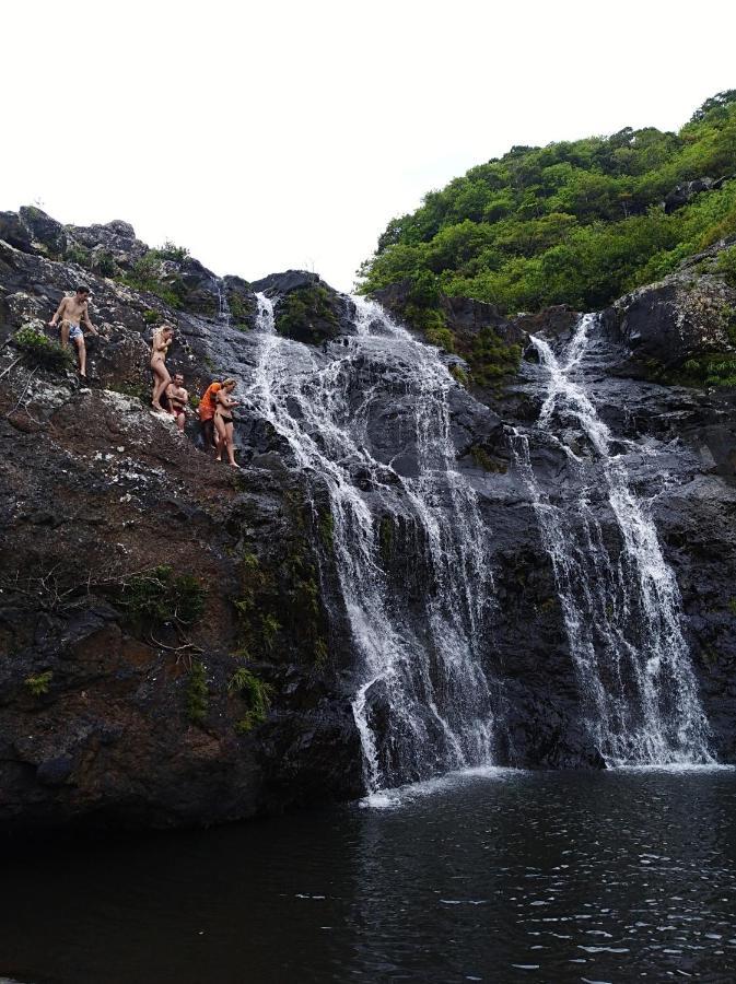 Green Discovery B&B Tamarind Falls 7 Cascades Henrietta Eksteriør billede