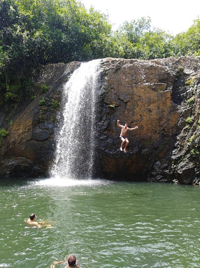 Green Discovery B&B Tamarind Falls 7 Cascades Henrietta Eksteriør billede